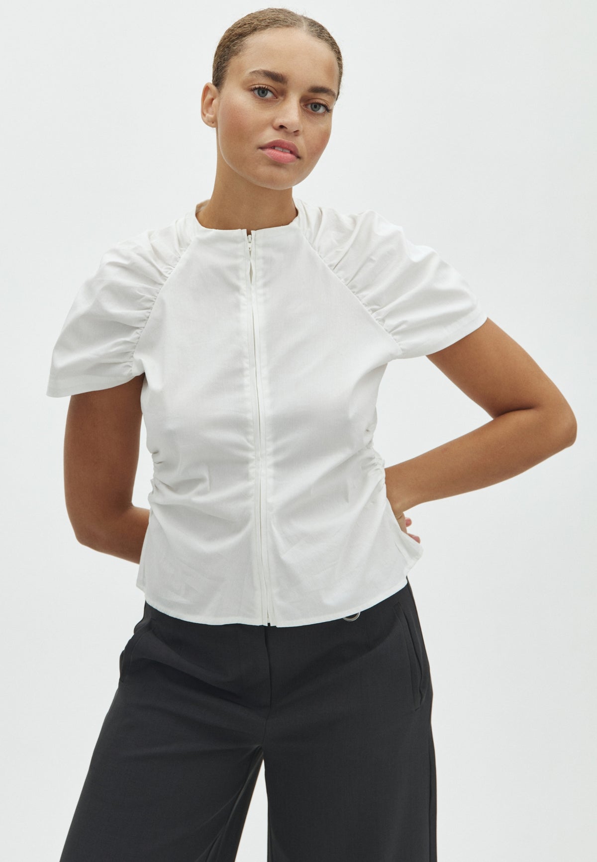 Papez-F_White_Model_0