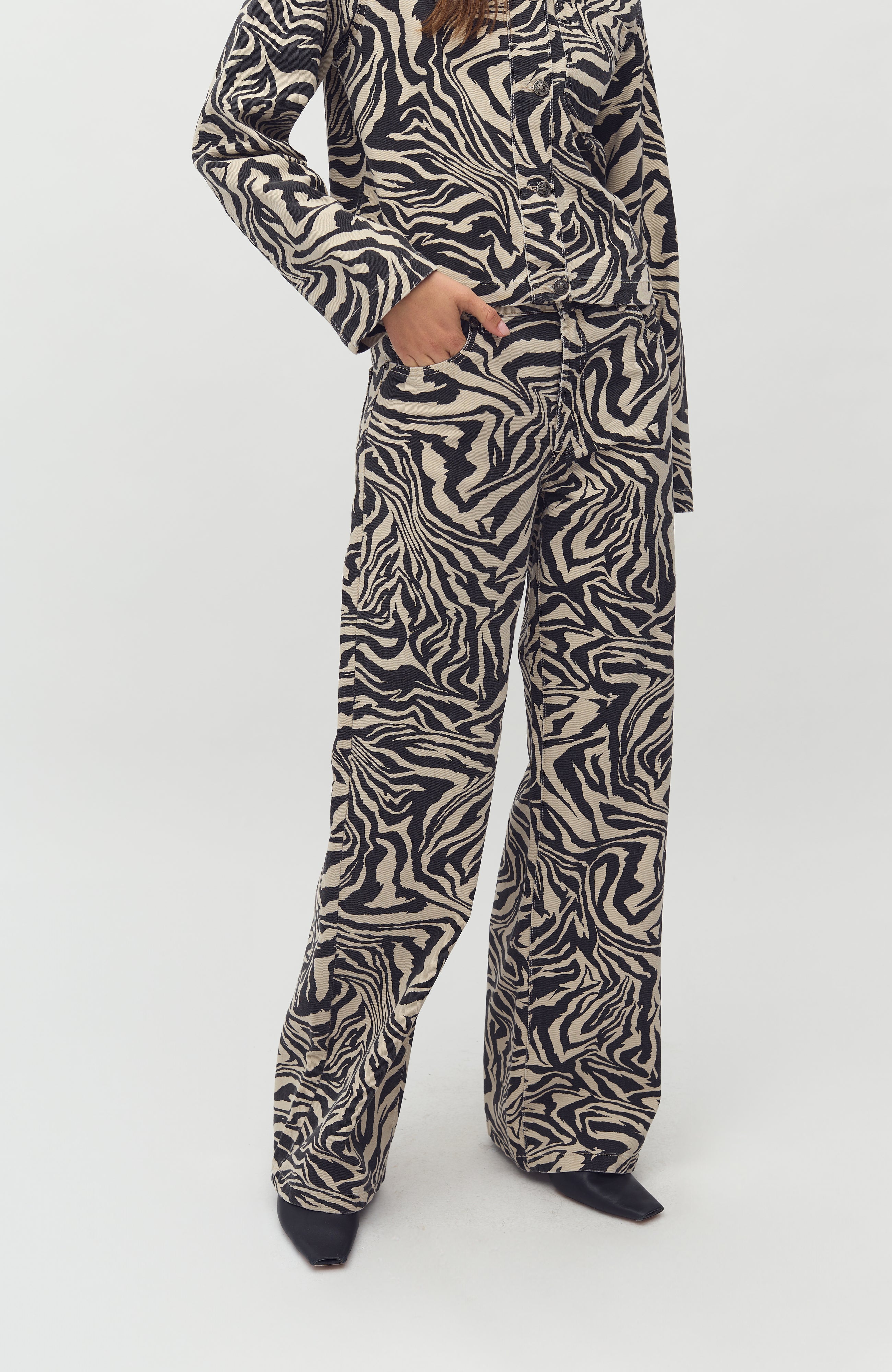 Pyras-M_Zebriana Print_Model_