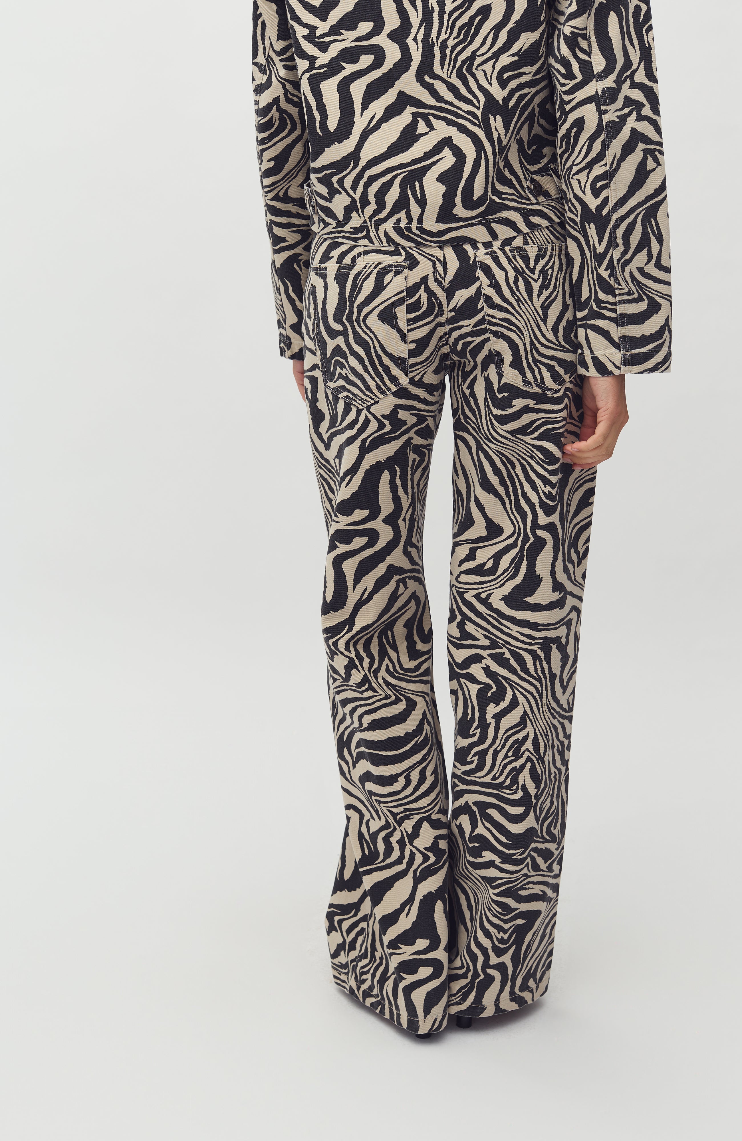 Pyras-M_Zebriana Print_Model_