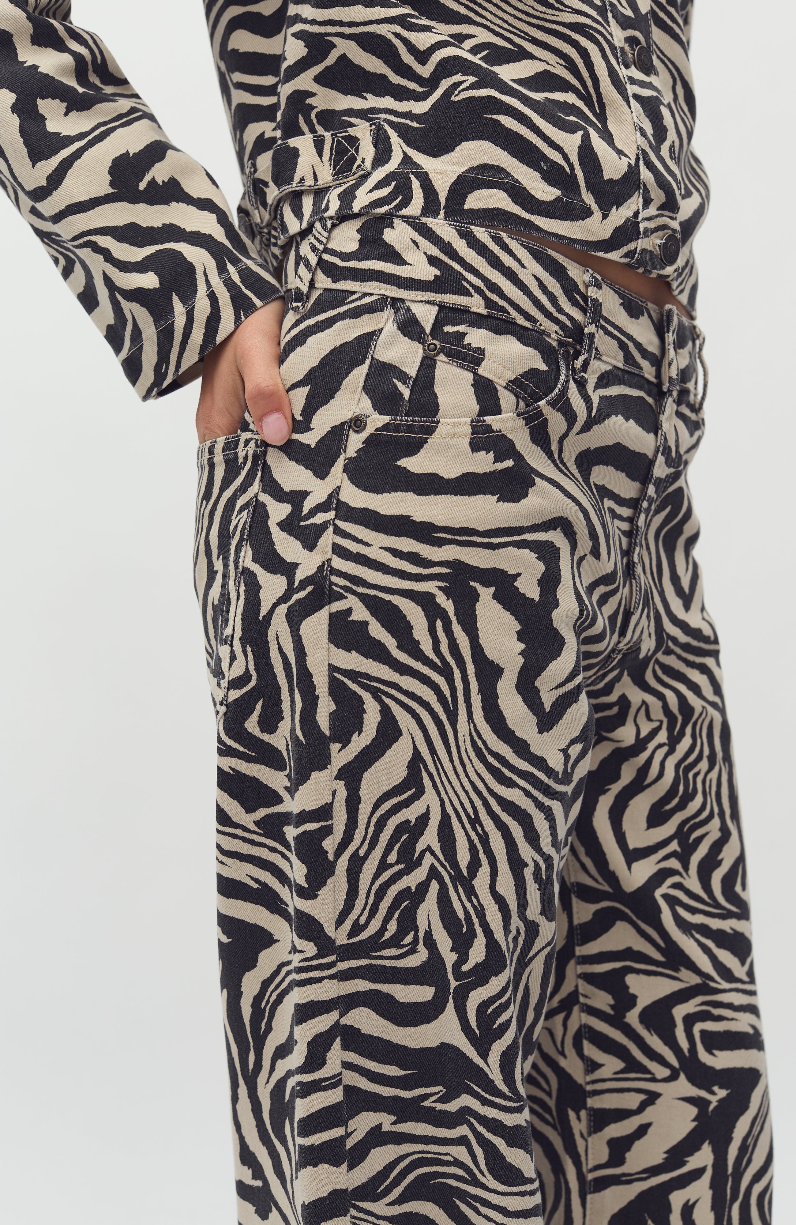 Pyras-M_Zebriana Print_Model_