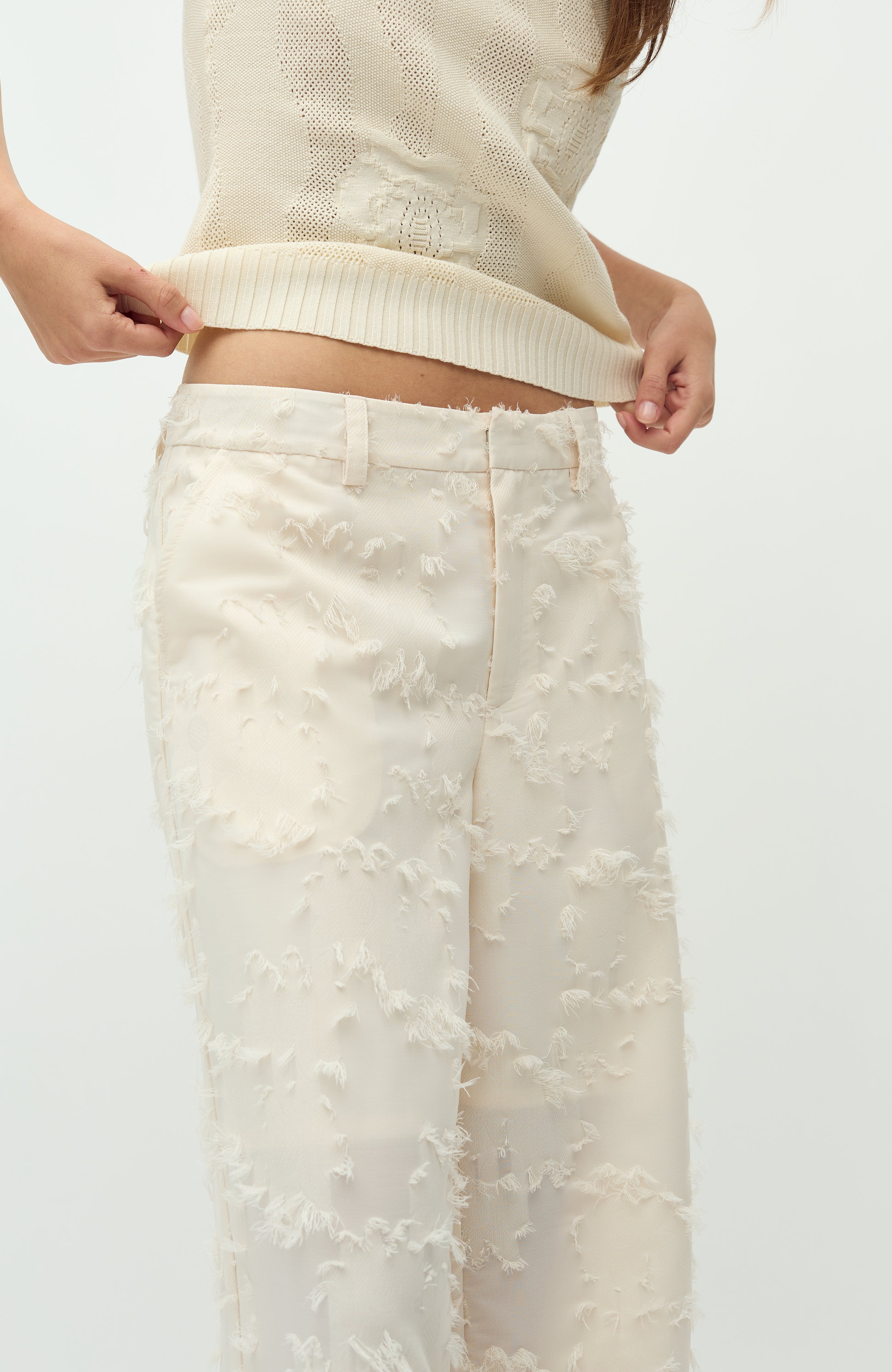 Cavia Long-M_Sugar_Model_4