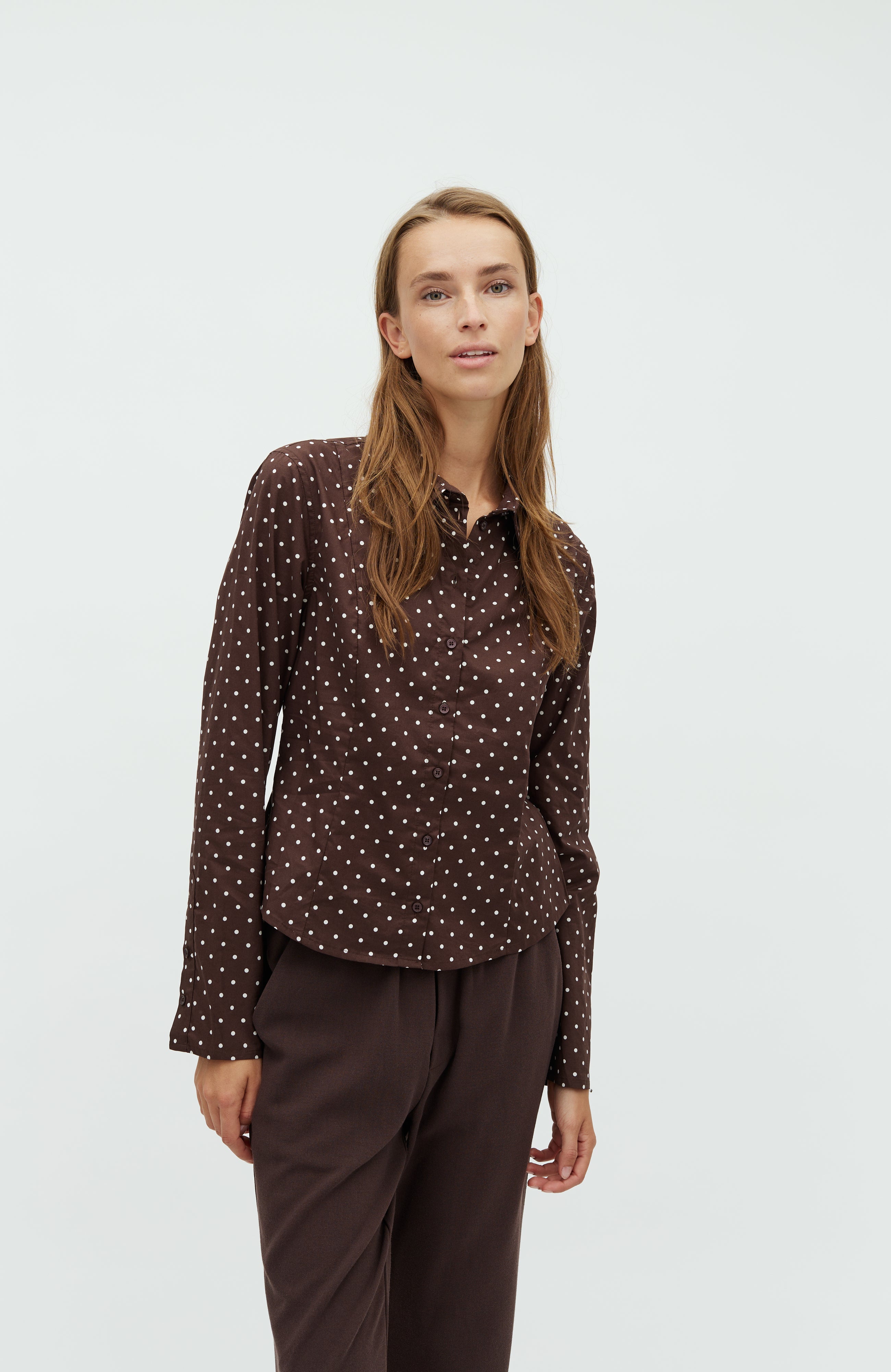 Danire-M_Java Sugar Dot_Model_0