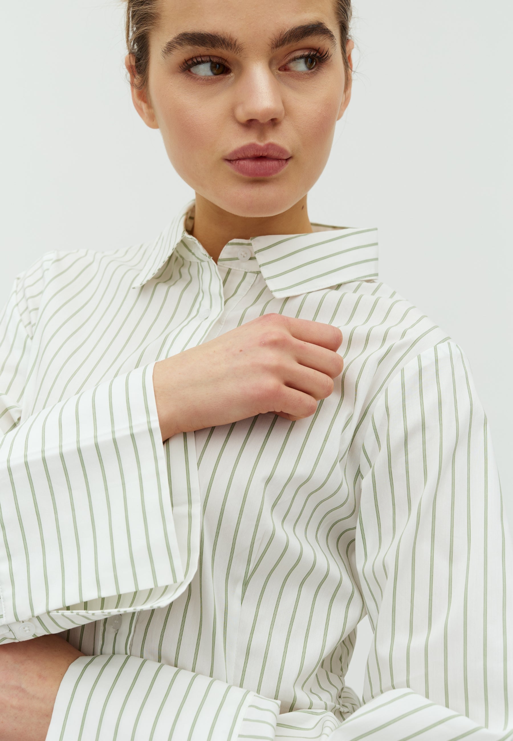 168657 Taroli Stripe Shirt_Dusty green_Model_1