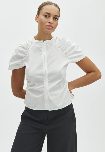 Papez-F_White_Model_0